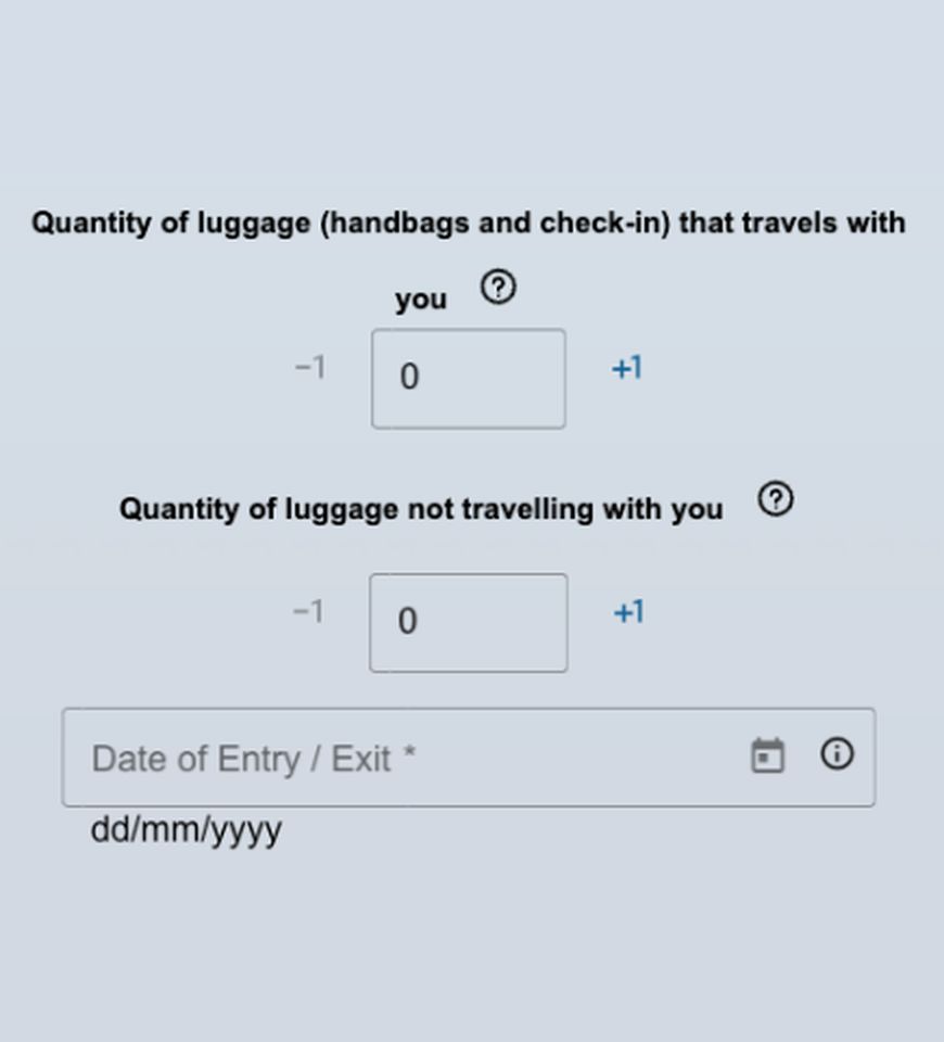Formulário oficial da DJRV: bagagem e data da viagem (captura do nosso teste)